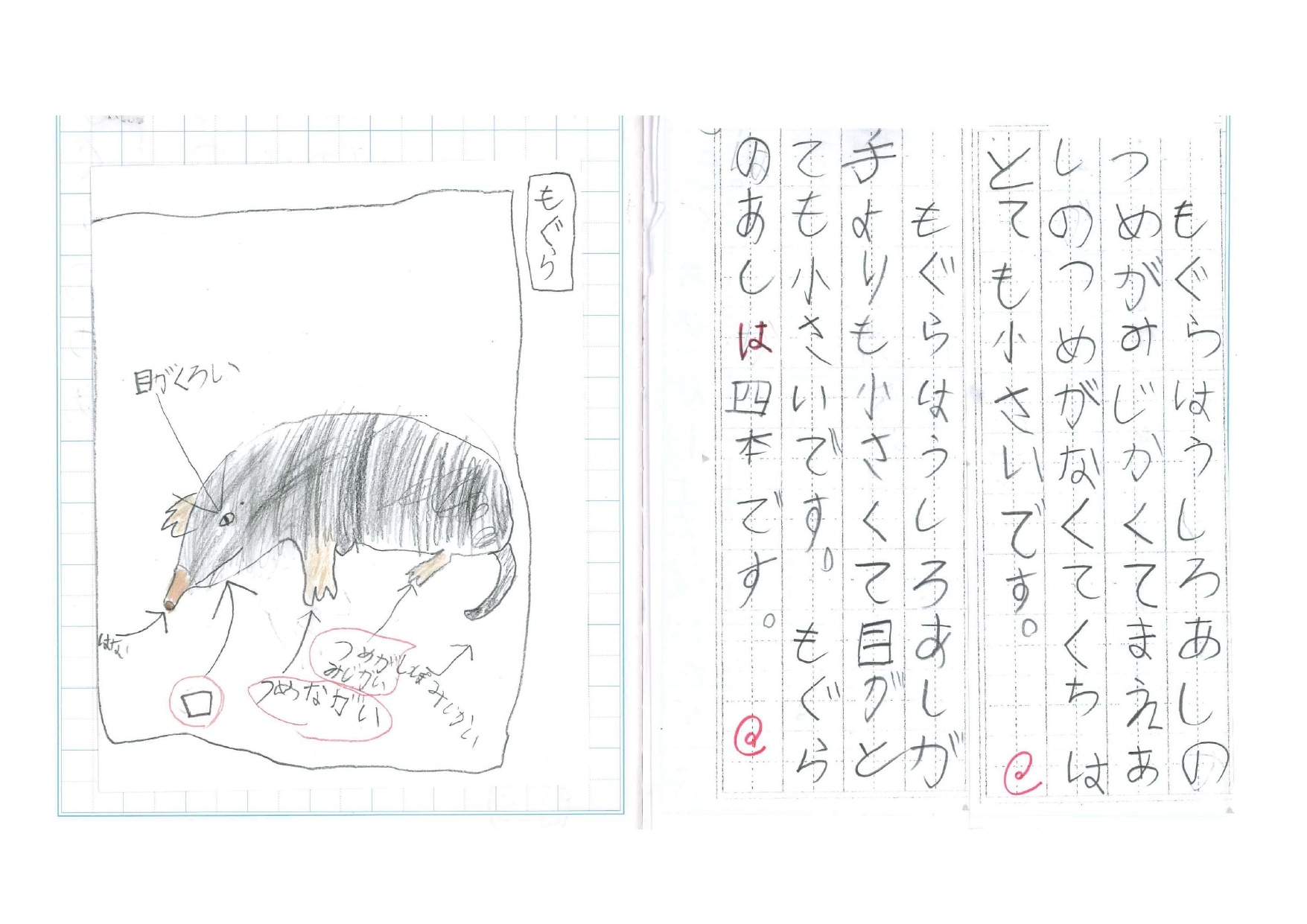 モグラ