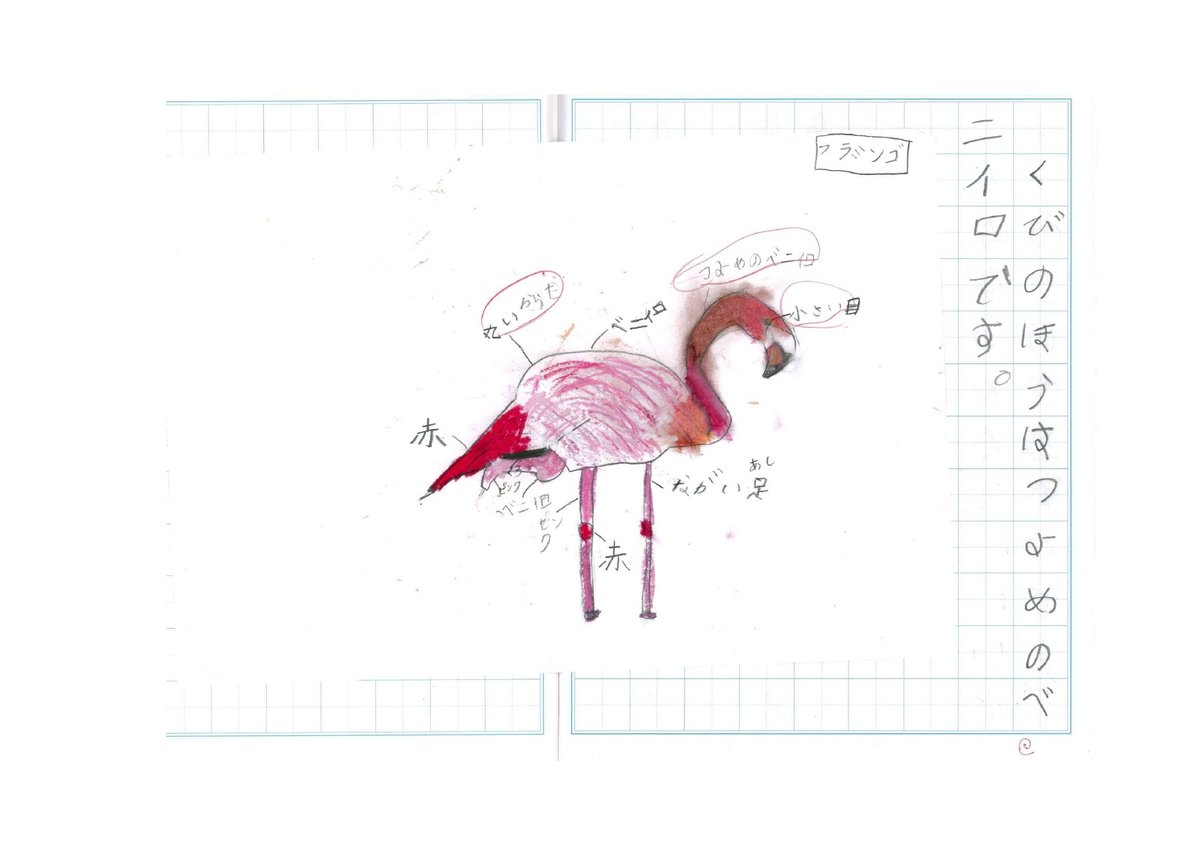 フラミンゴ